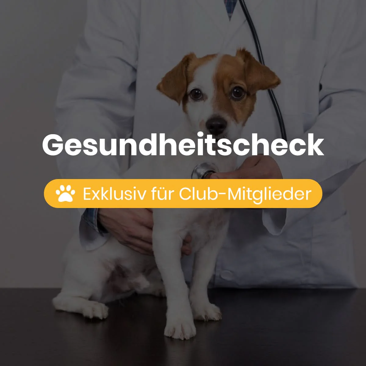 Vorschaubild 8