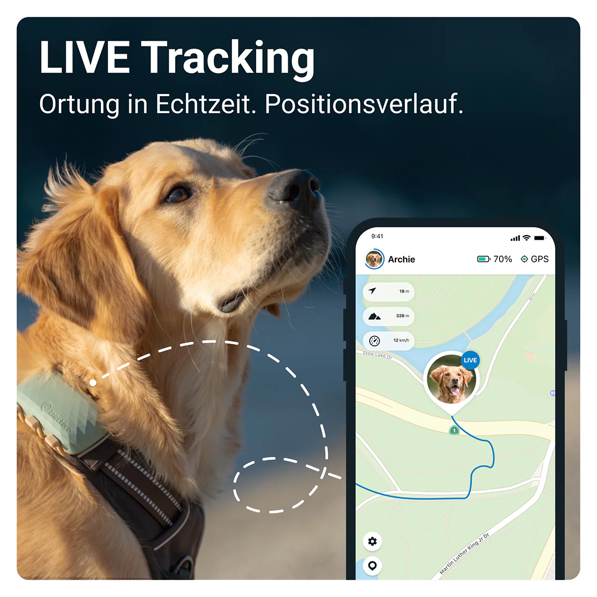 Vorschaubild 3